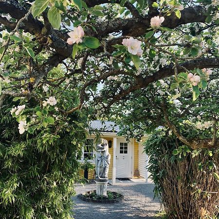 Villa Sol B&B And Hostel Borgholm Dış mekan fotoğraf